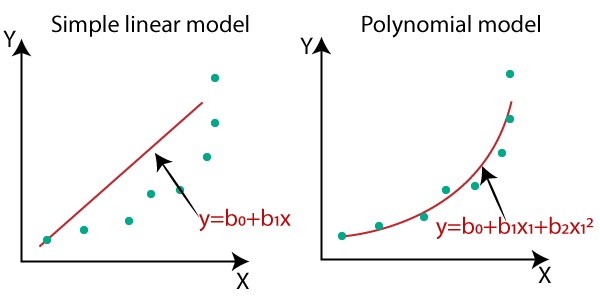 Polynomial 